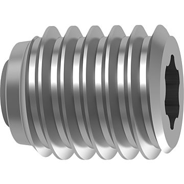 Torx-Plus spanschroeven