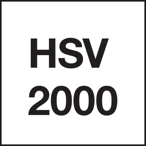Type: HSV 2000
