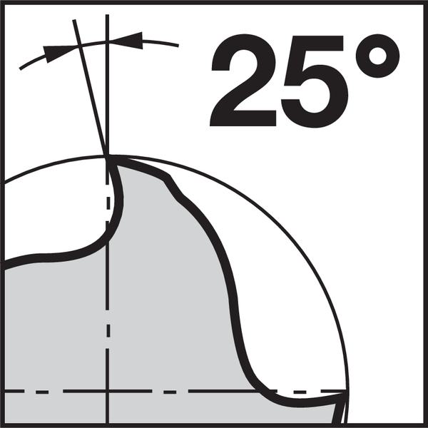 Picto achterste hellingshoek (soort): 25